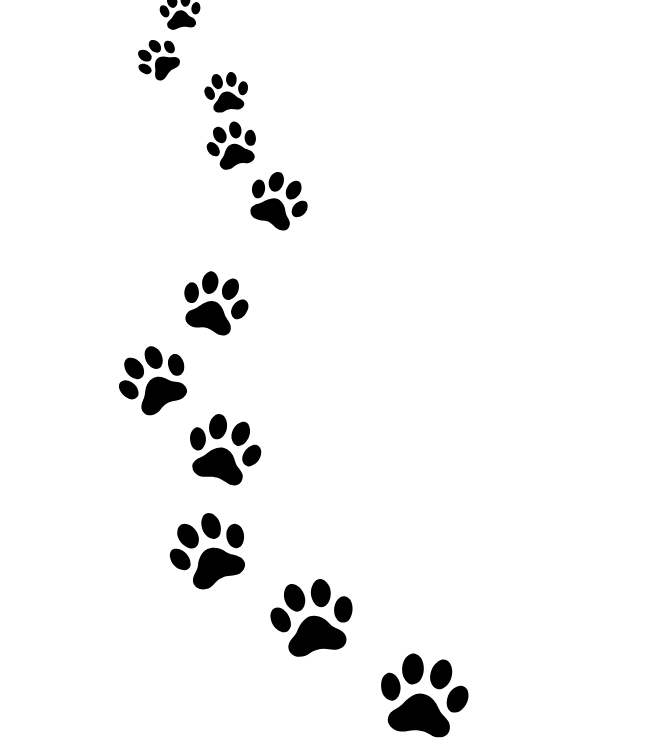 Untitled design 4