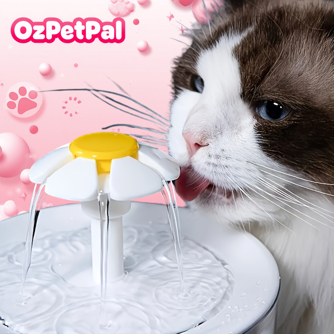 Cat Automatic Silent Water Dispenser 5 Cat Automatic Silent Water Dispenser - Image 5