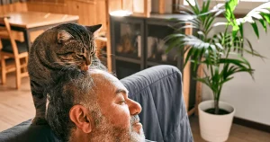 why does my cat lick me